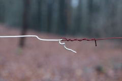 grenzen-2502-met-draad-rechts-rood_b