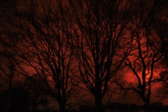 A-IMG_6987b