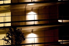 IMG_8269
