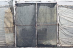 895A0599-email-e1477230966204