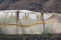 PN15-895A0670-b-print