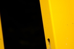 Yellow-in-black-5
