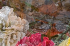 wf-12-def-IMG_6775-1195a-