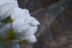 wf-13-DEF-voorbeeld-voor-e1477232878535