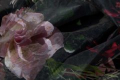 wf-7-DEF-voorbeeld-voor-m-e1477231009895